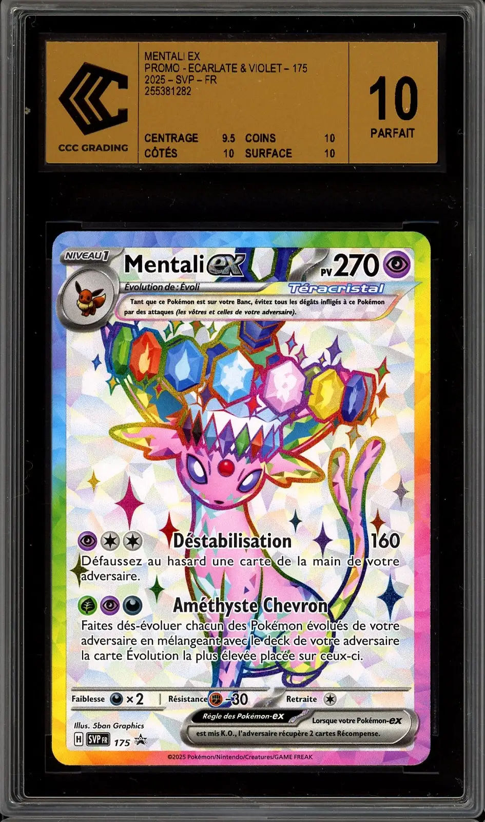 CCC 10 Mentali Ex