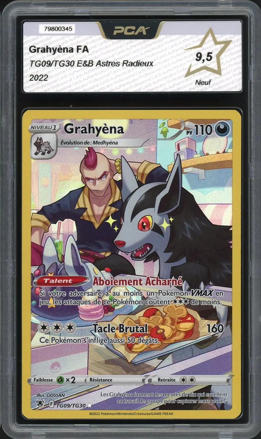 PCA 9.5 Grahyèna