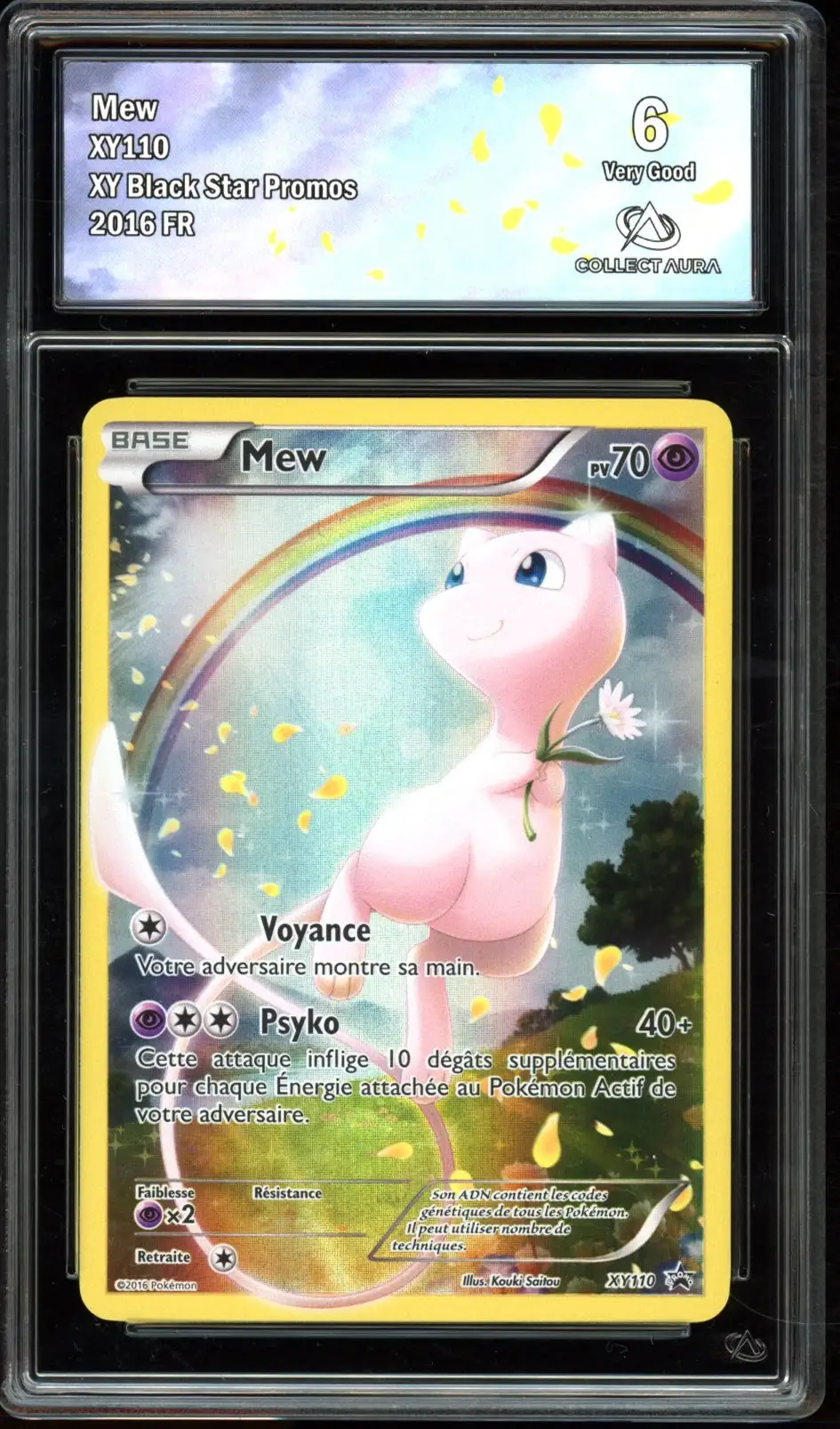 CA 6 Mew