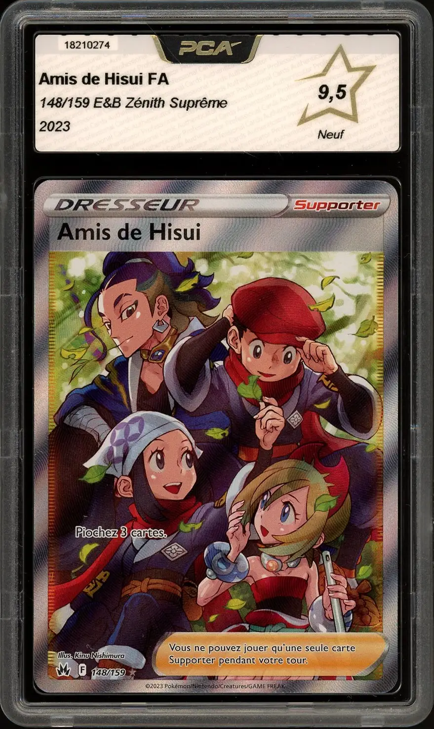 PCA 9.5 Amis de Hisui