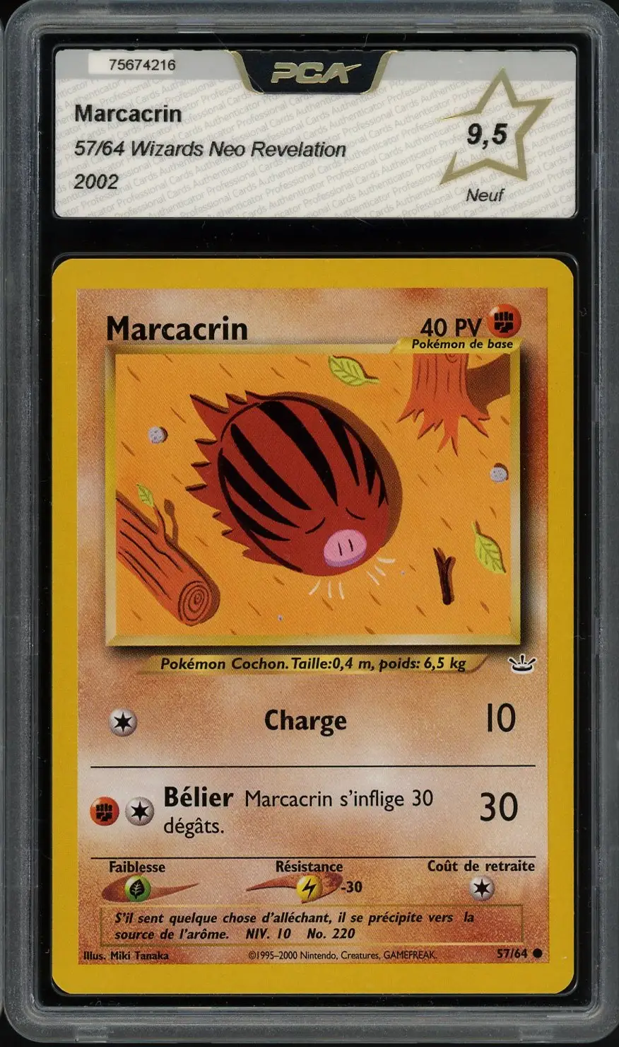 PCA 9.5 Marcacrin
