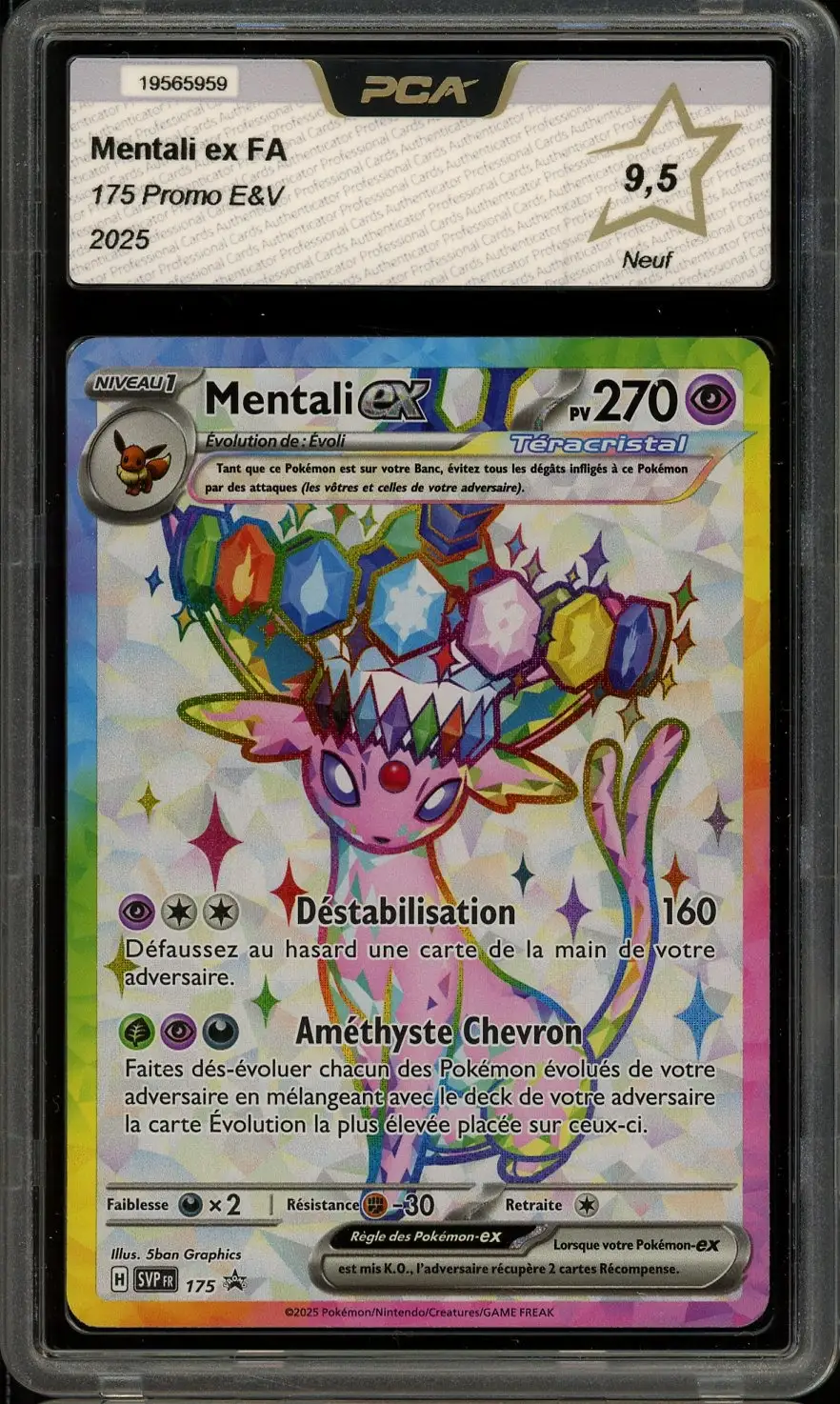PCA 9.5 Mentali Ex