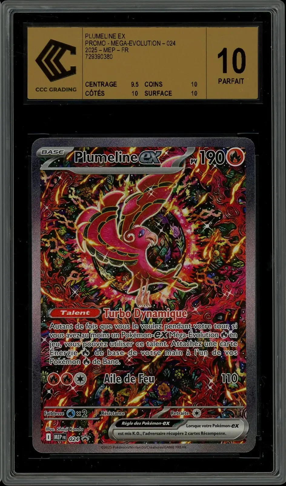 CCC 10 Plumeline Ex