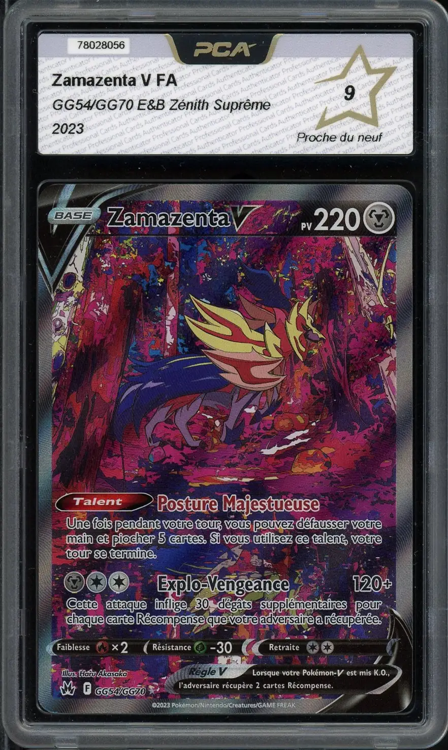 PCA 9 Zamazenta V