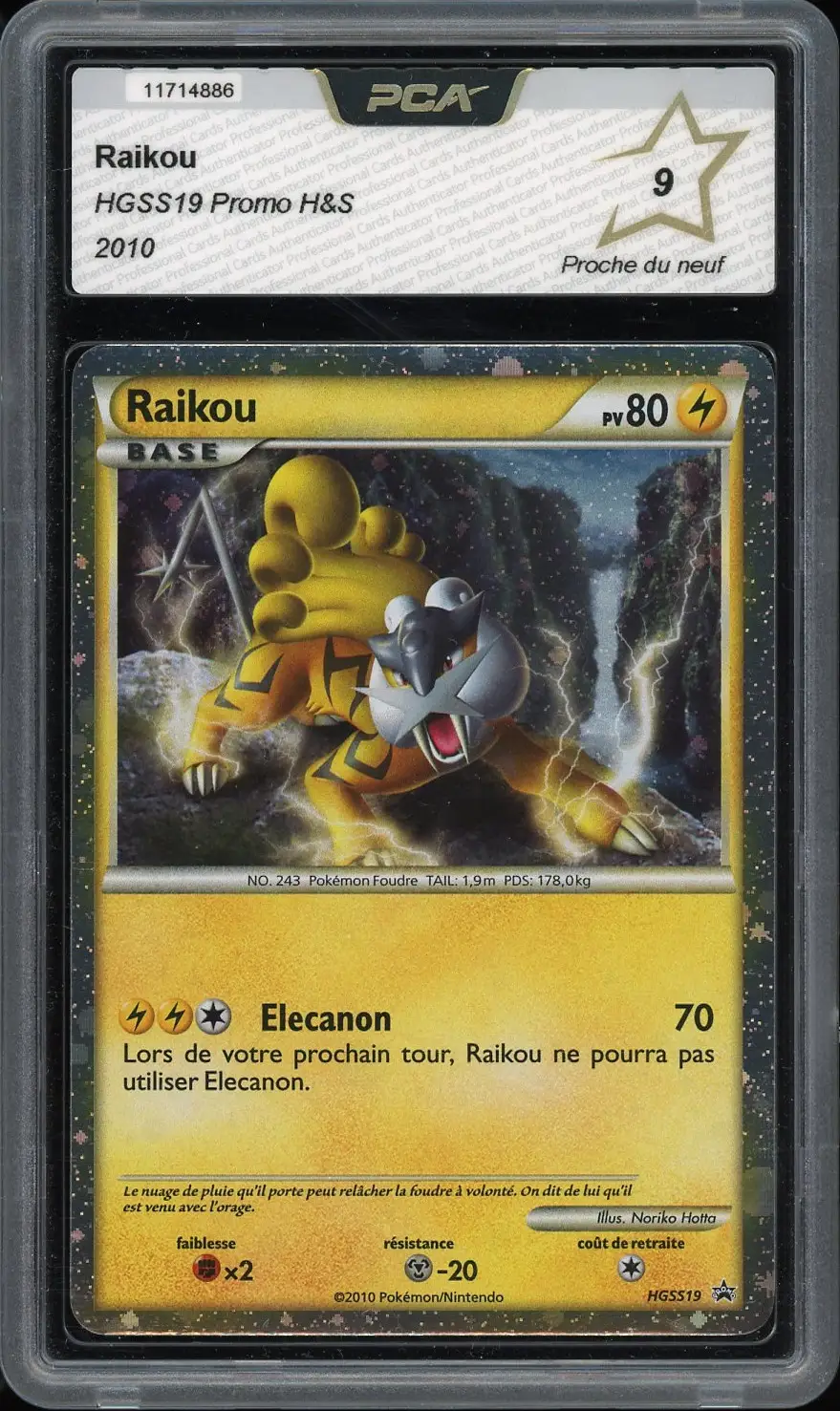 PCA 9 Raikou Holo