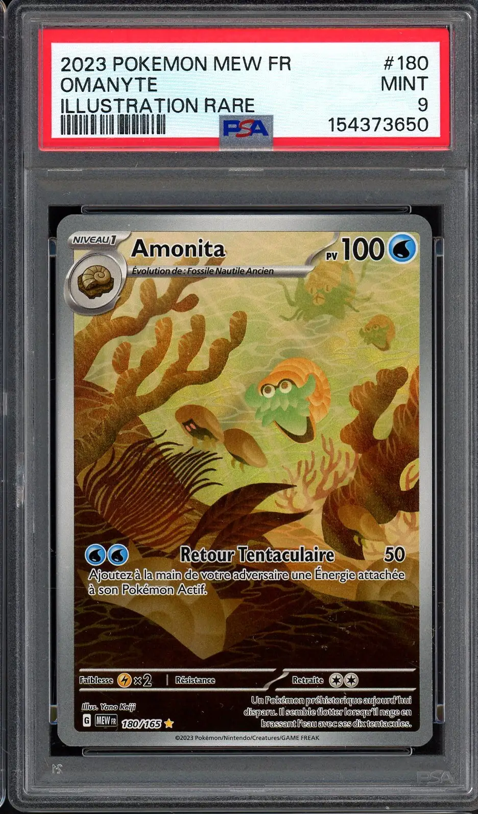 PSA 9 Amonita