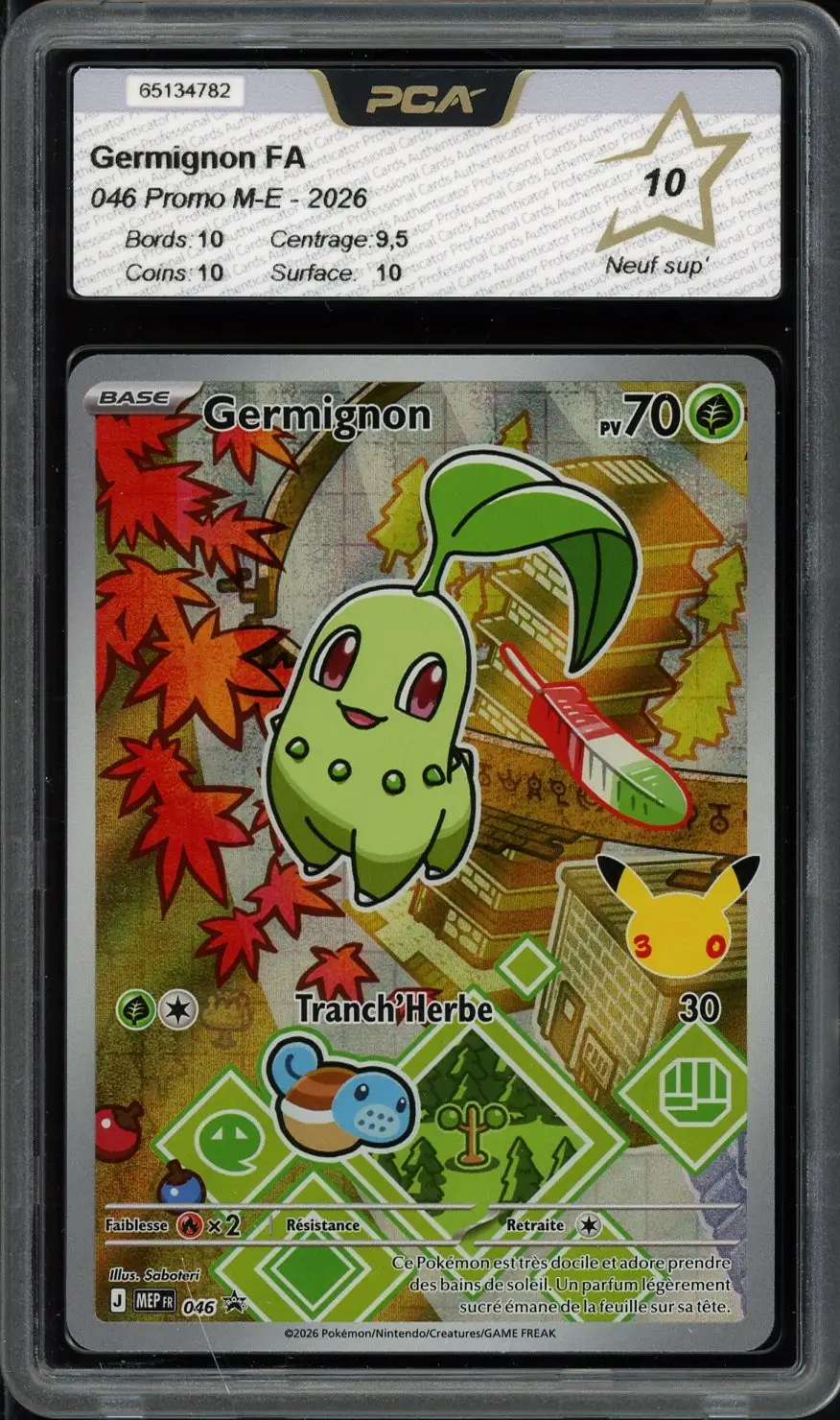 PCA 10 Germignon