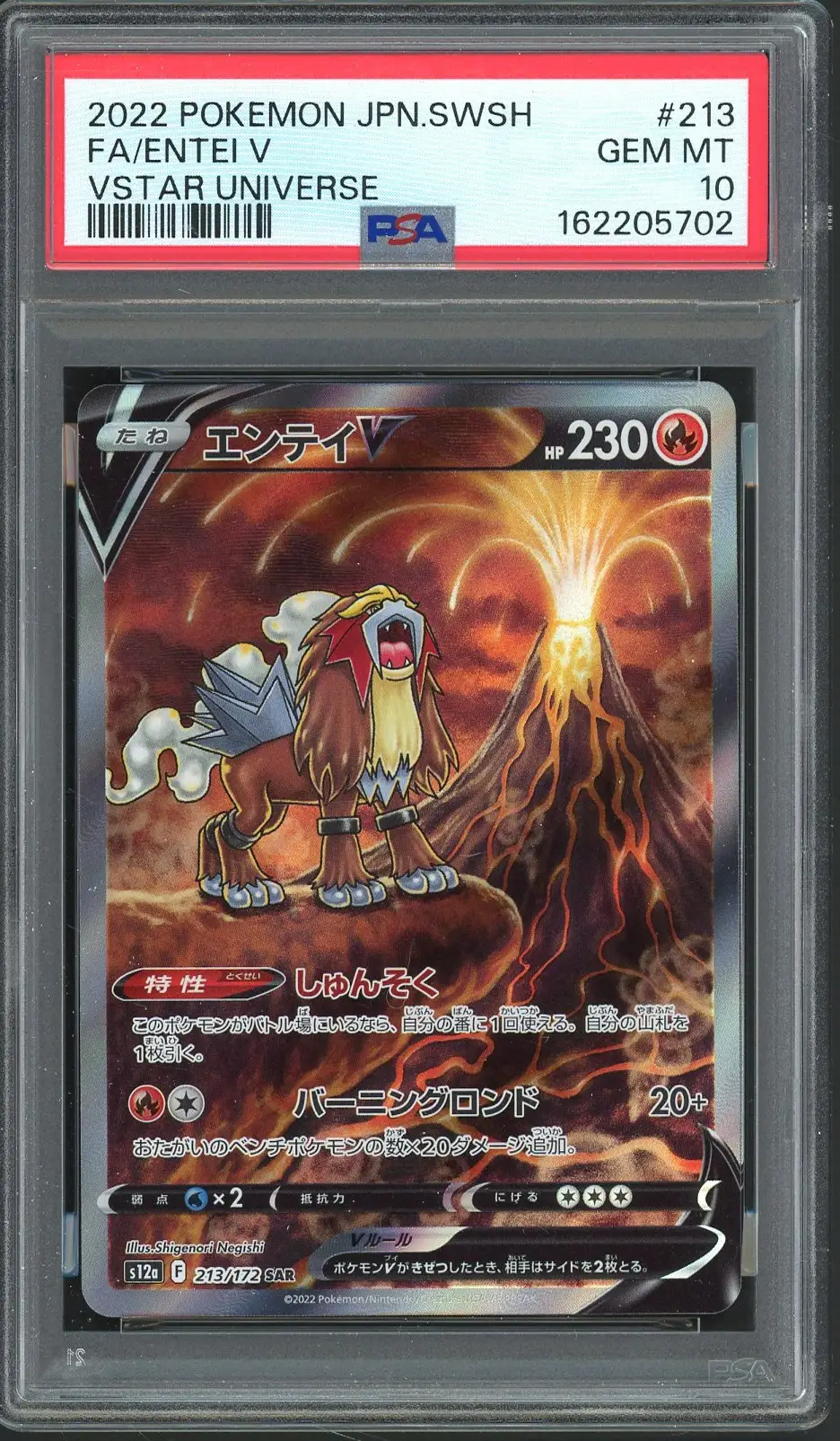 PSA 10 Entei V