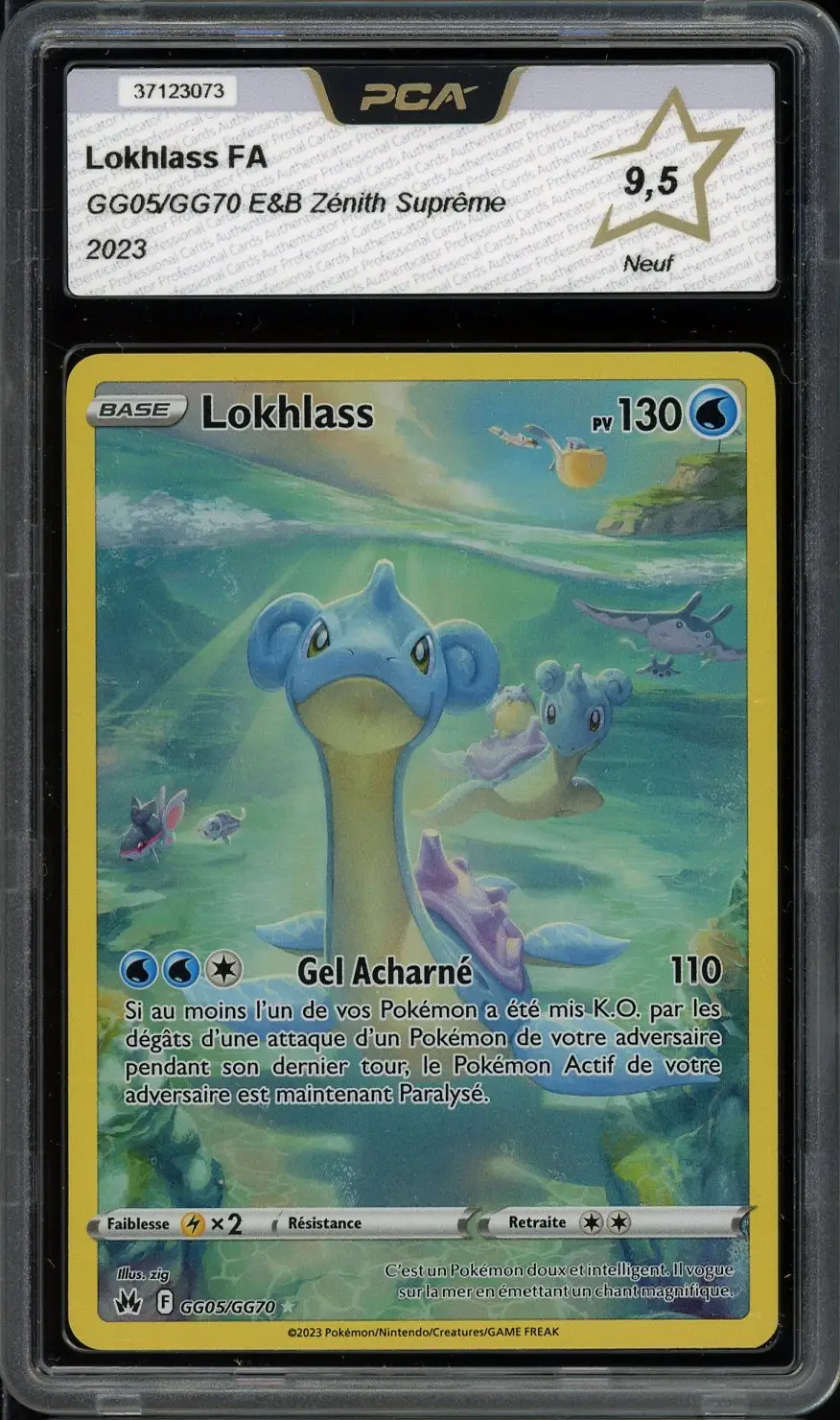 PCA 9.5 Lokhlass