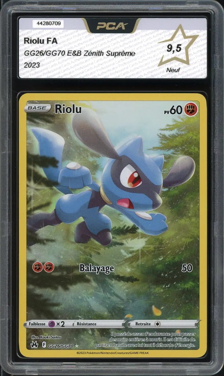 PCA 9.5 Riolu