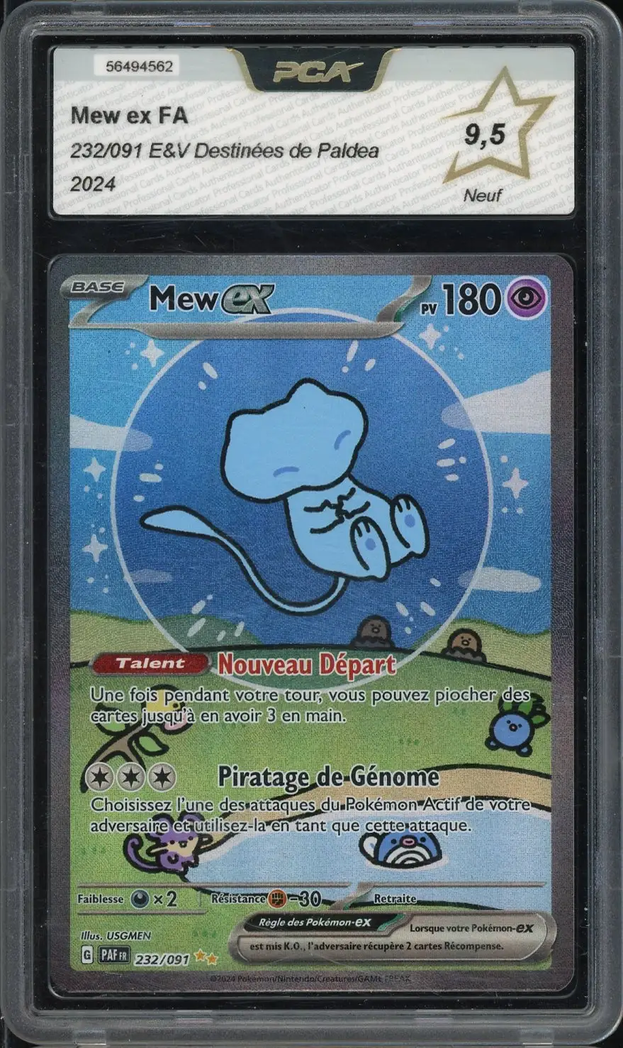 PCA 9.5 Mew Ex