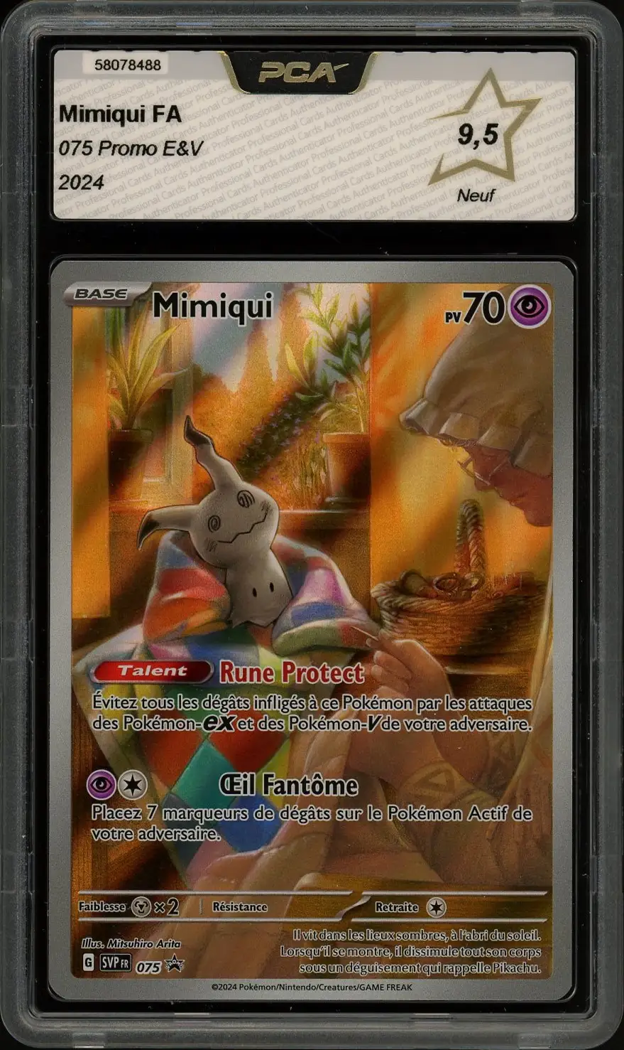 PCA 9.5 Mimiqui