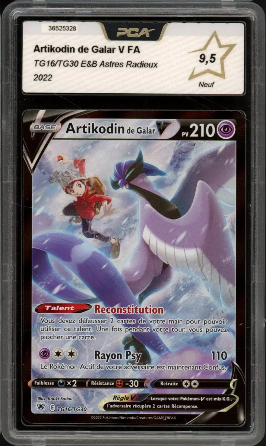 PCA 9.5 Artikodin de Galar V