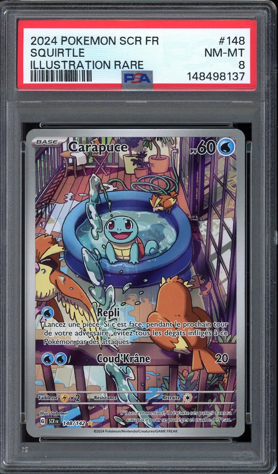 PSA 8 Carapuce