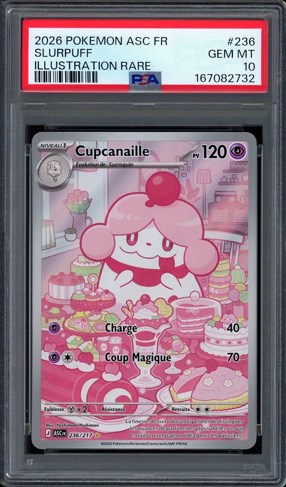 PSA 10 Cupcanaille
