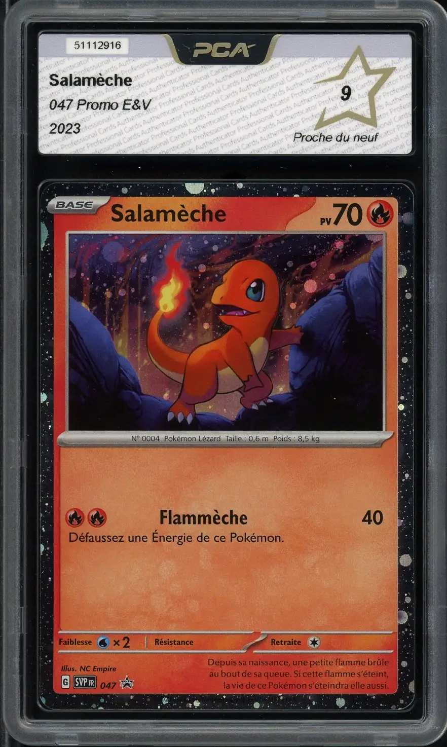 PCA 9 Salamèche Holo