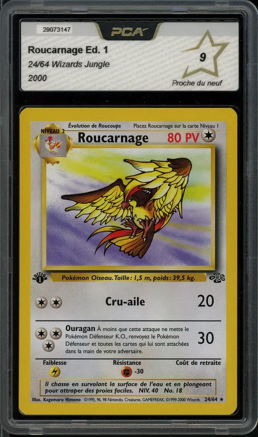 PCA 9 Roucarnage