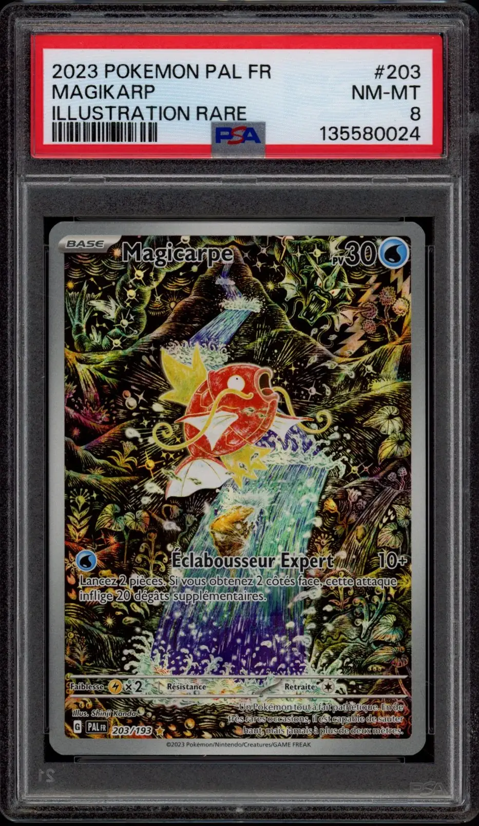 PSA 8 Magicarpe