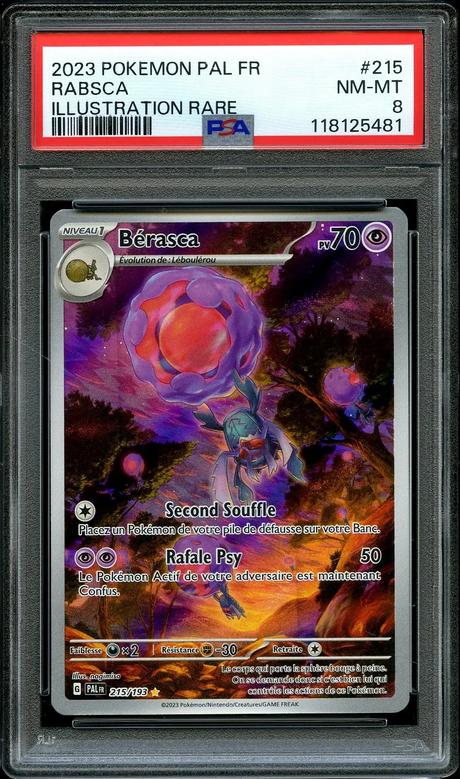 PSA 8 Bérasca