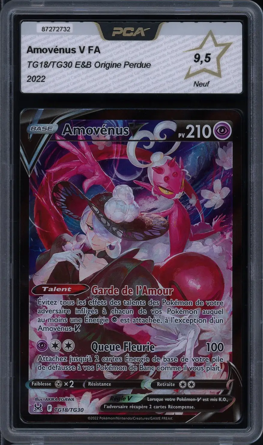 PCA 9.5 Amovénus V