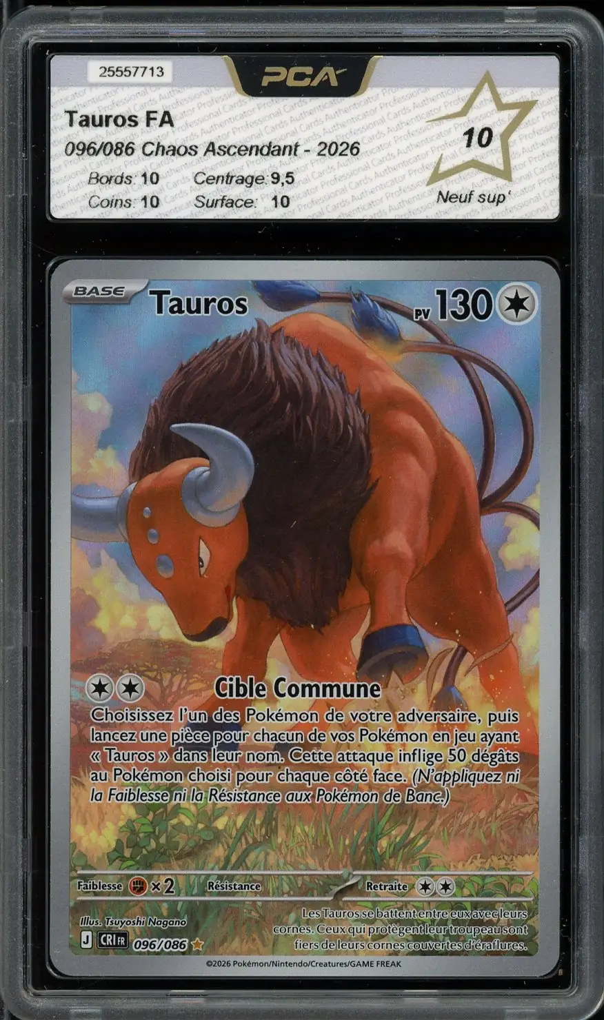 PCA 10 Tauros