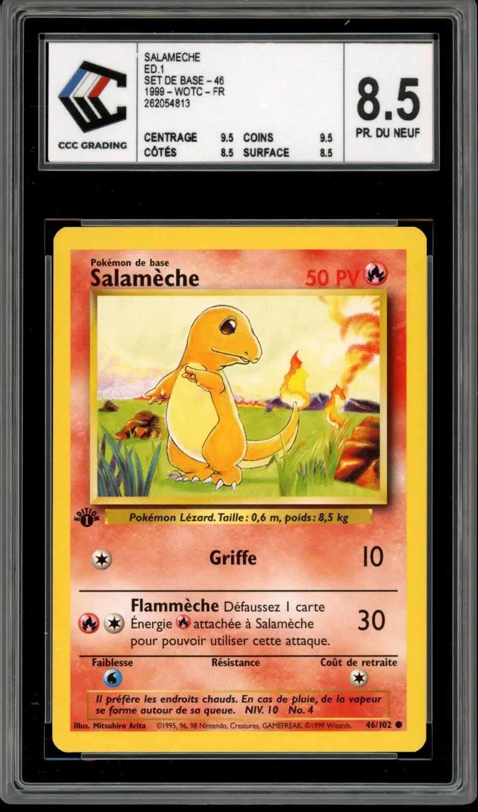 CCC 8.5 Salamèche