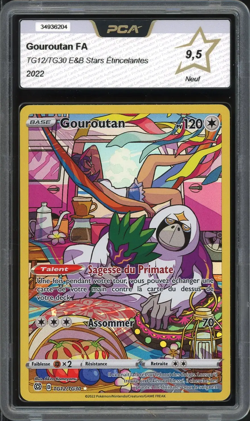 PCA 9.5 Gouroutan