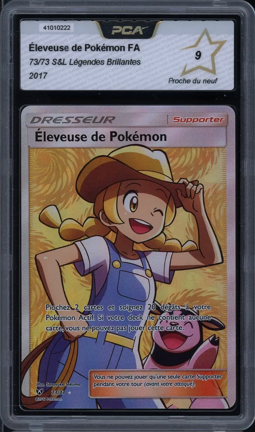 PCA 9 Eleveuse de Pokémon