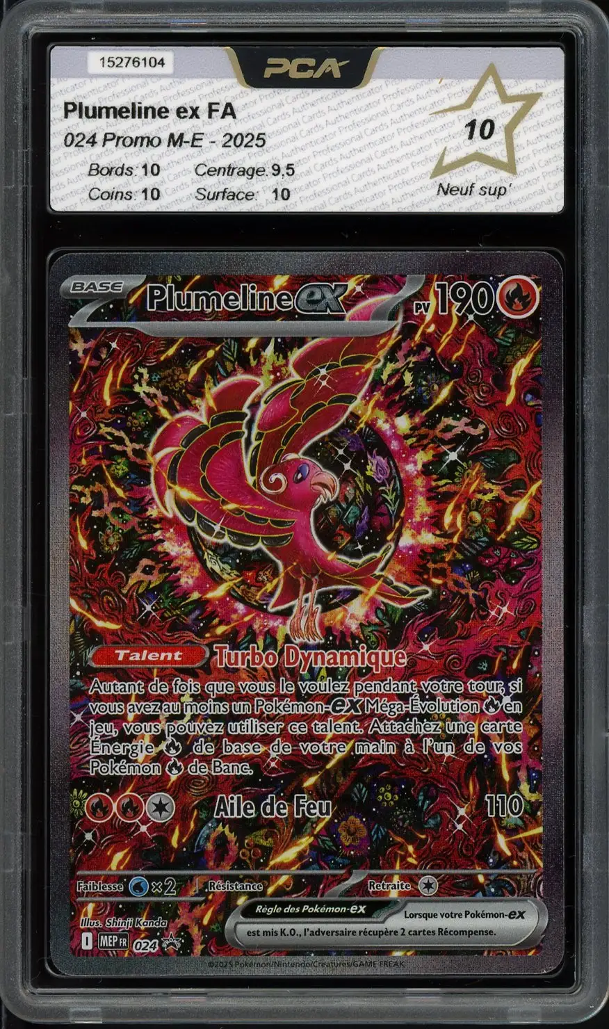 PCA 10 Plumeline Ex