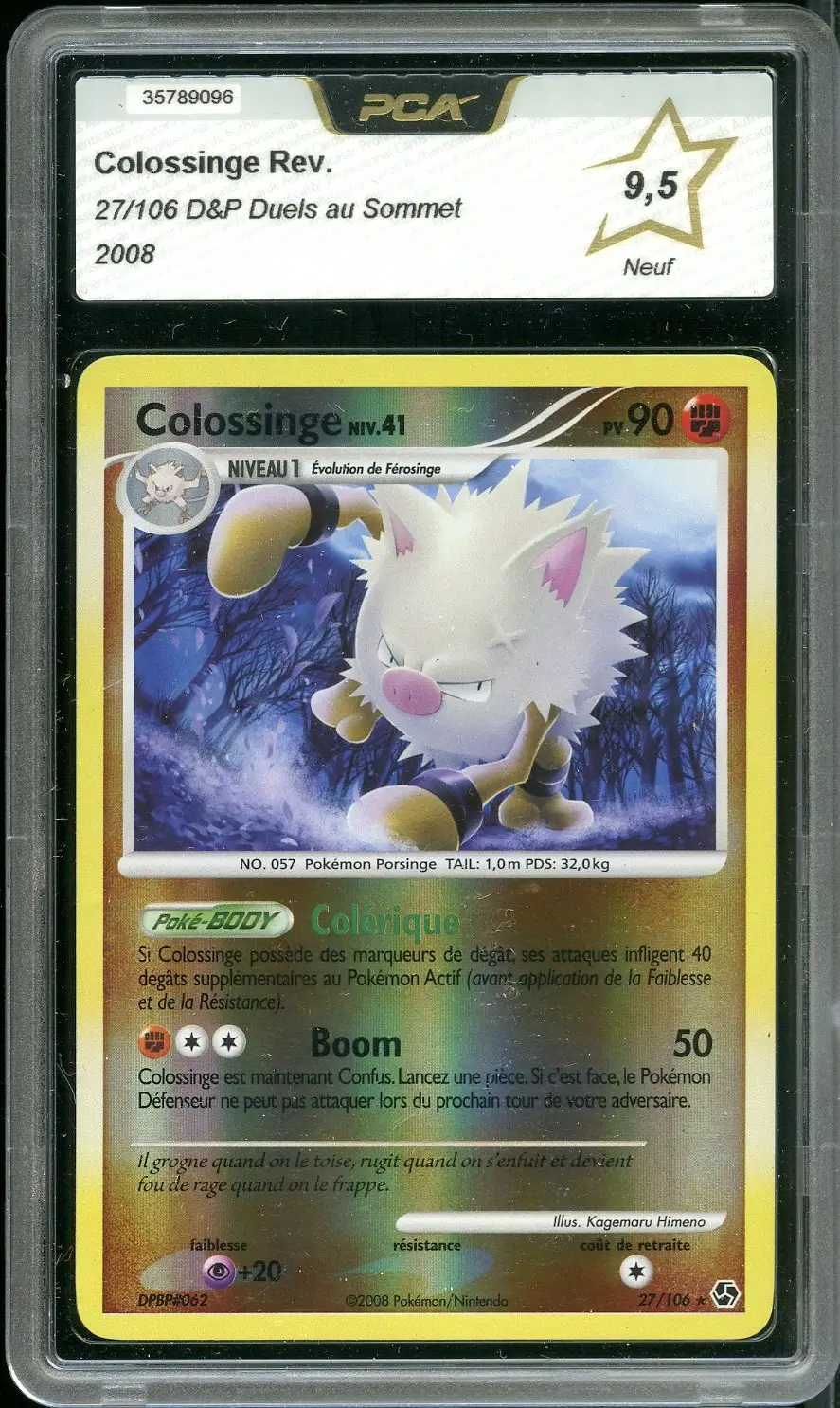 PCA 9.5 Colossinge Reverse