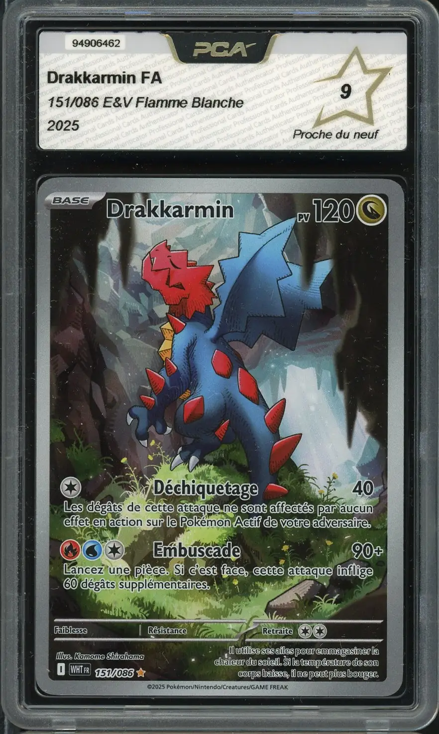 PCA 9 Drakkarmin