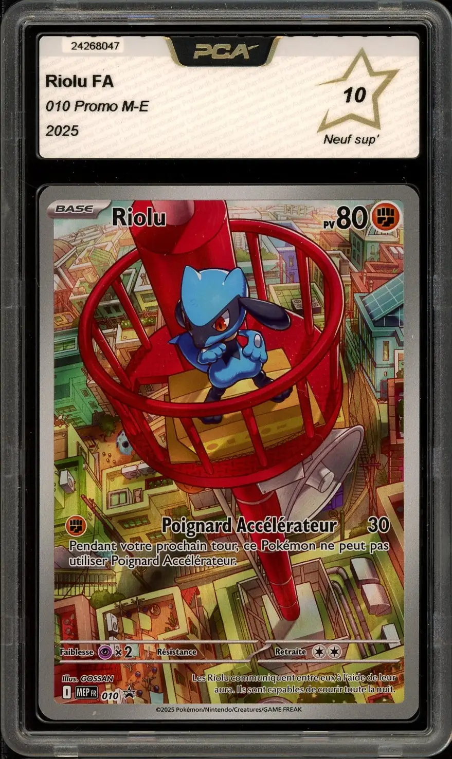 PCA 10 Riolu