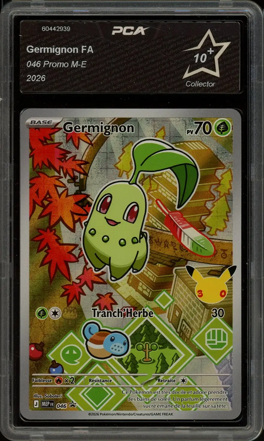 PCA 10+ Germignon