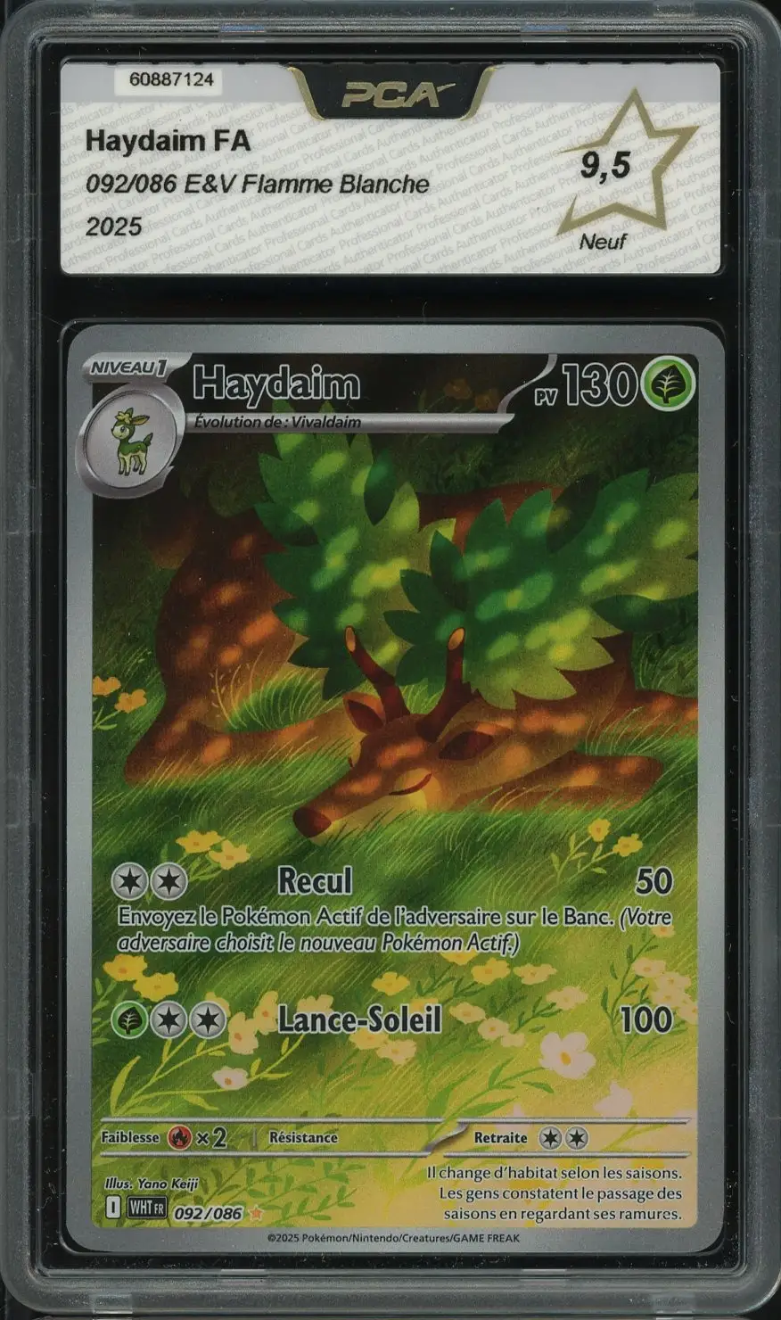 PCA 9.5 Haydaim