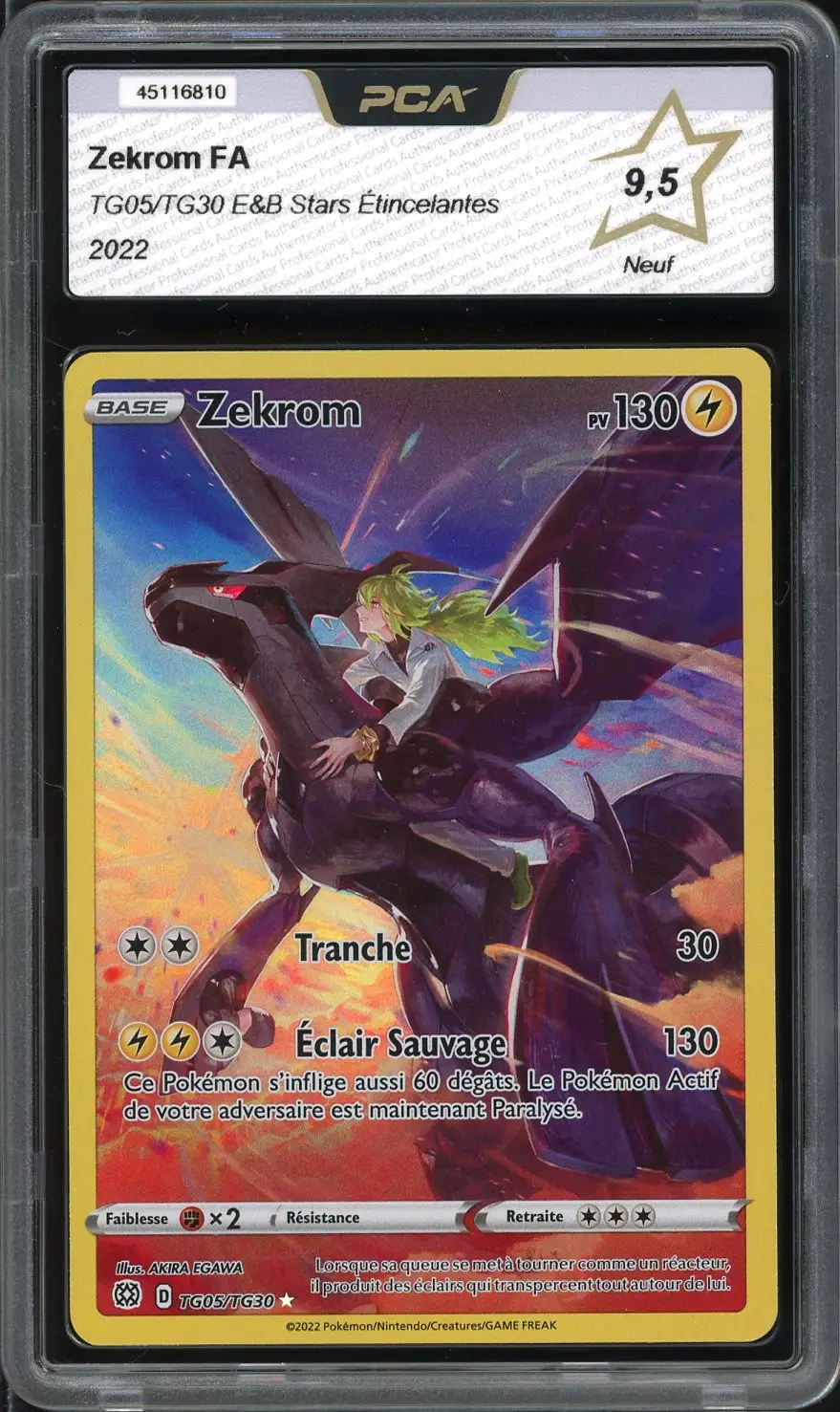 PCA 9.5 Zekrom
