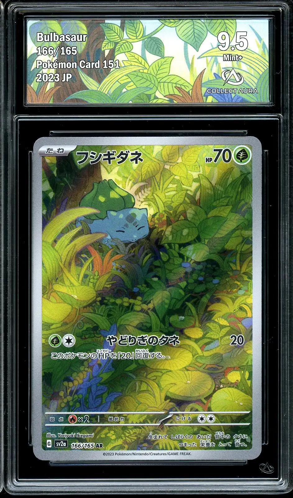 CA 9.5 Bulbasaur