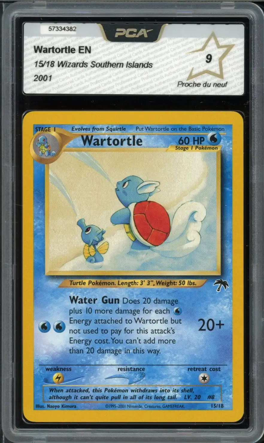 PCA 9 Wartortle