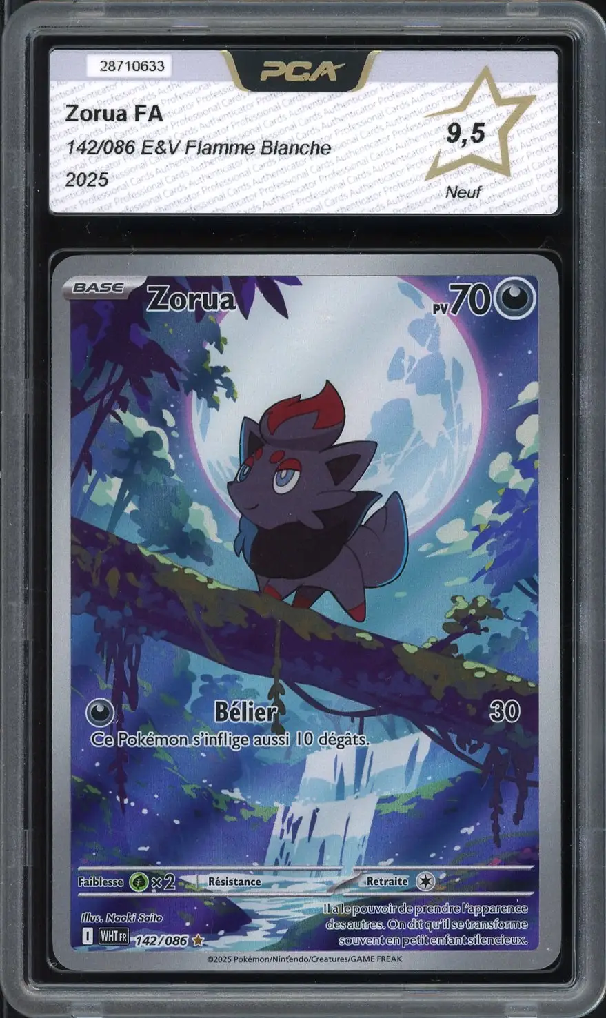 PCA 9.5 Zorua