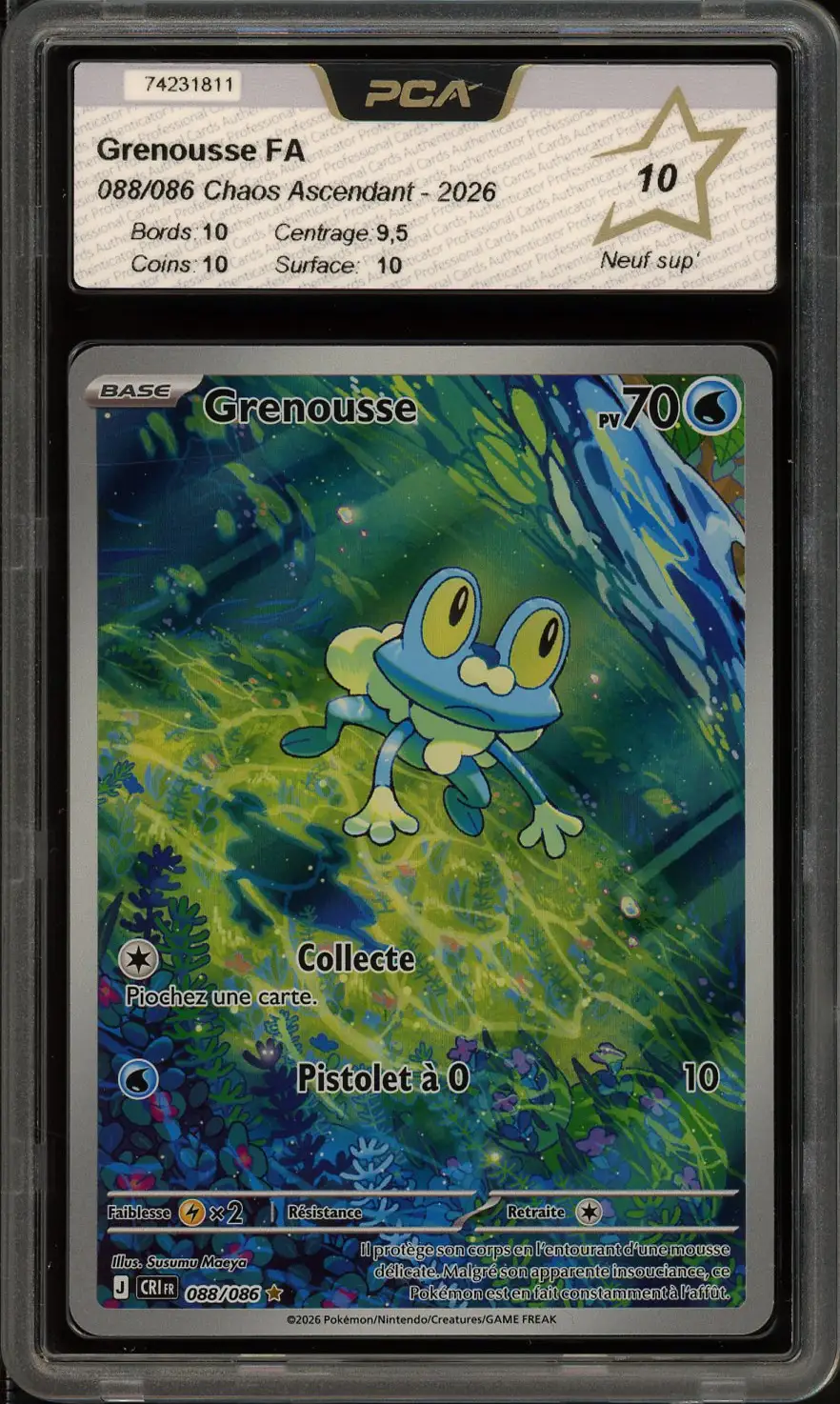 PCA 10 Grenousse
