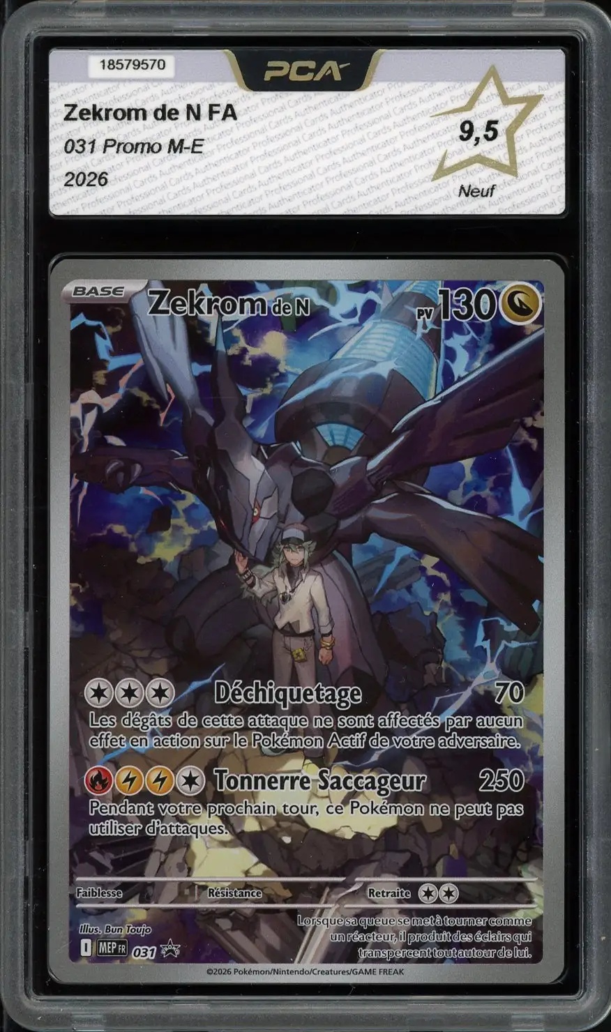 PCA 9.5 Zekrom de N