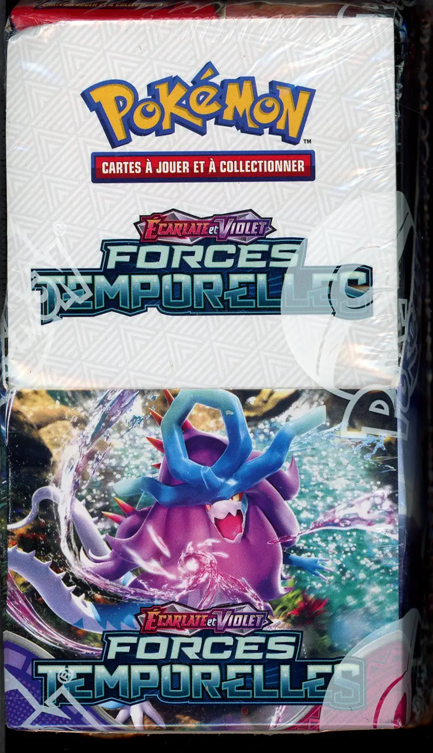 Demi Display EV5 Forces Temporelles