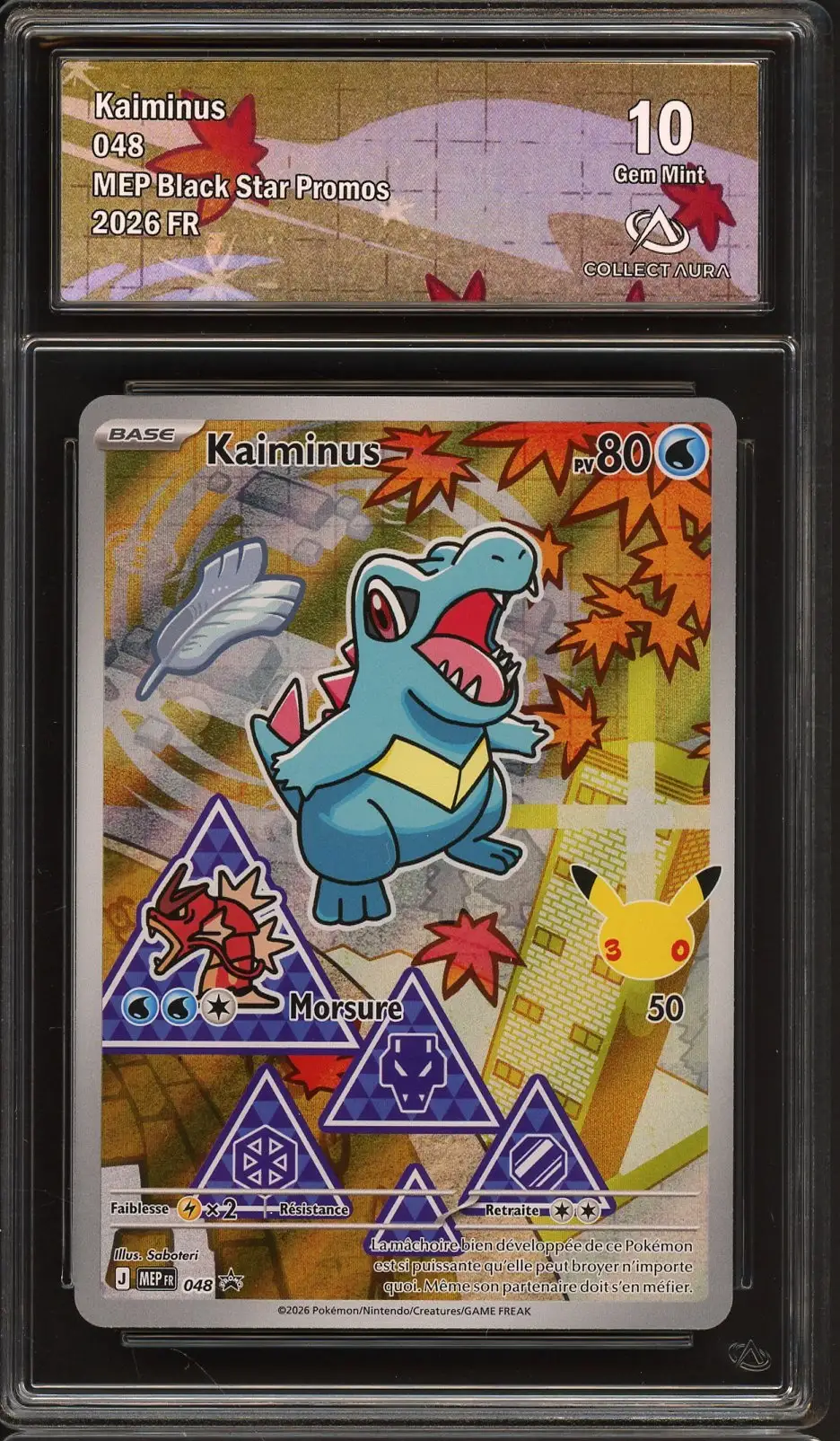 CA 10 Kaiminus