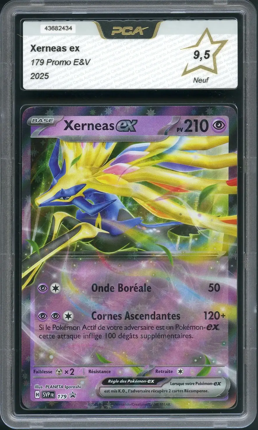 PCA 9.5 Xerneas Ex