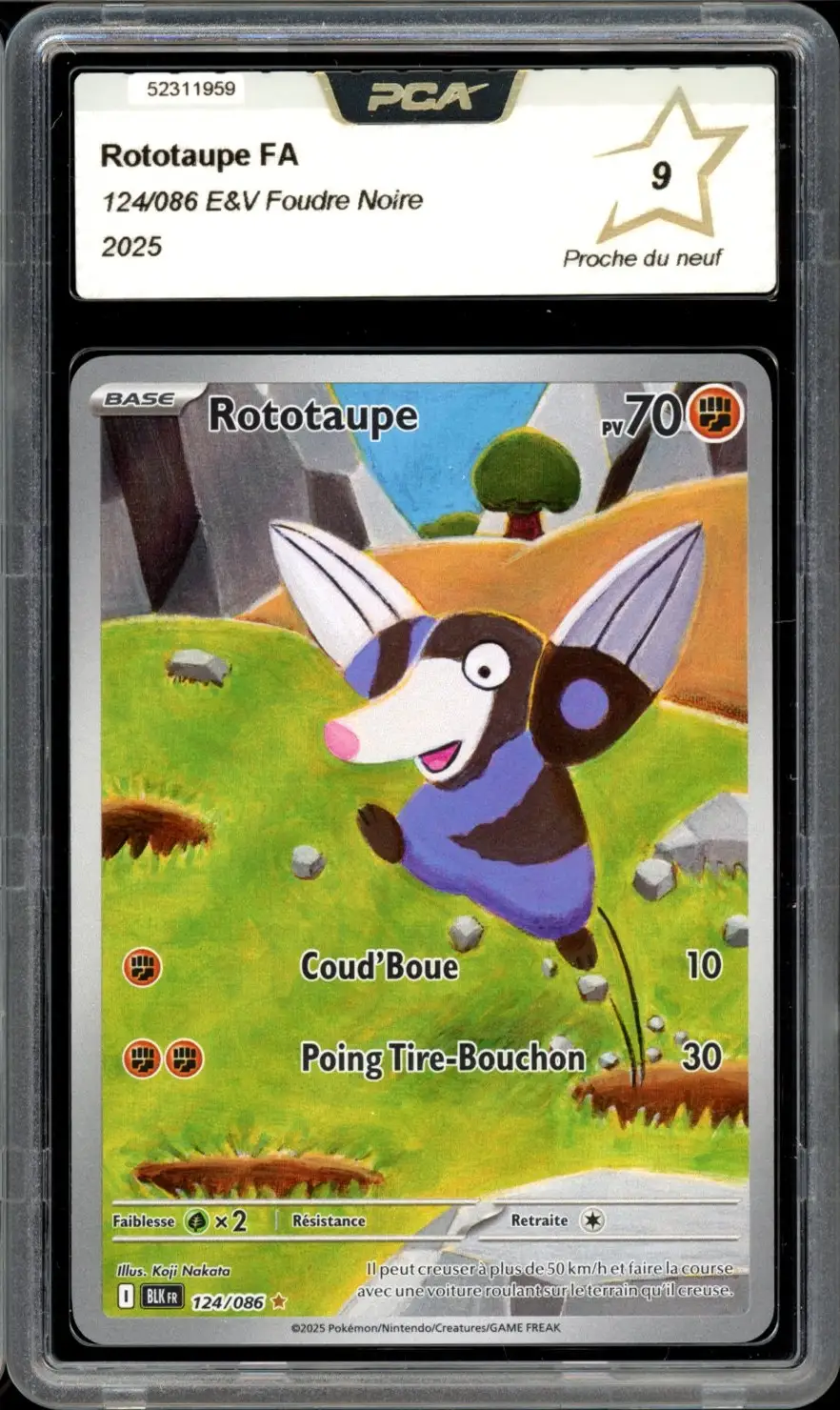 PCA 9 Rototaupe