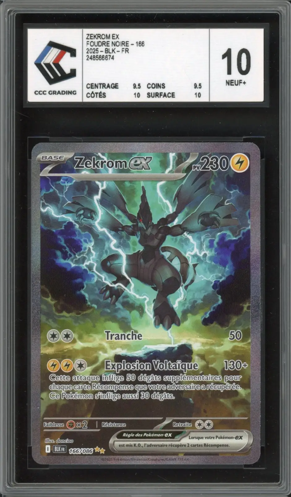 CCC 10 Zekrom Ex