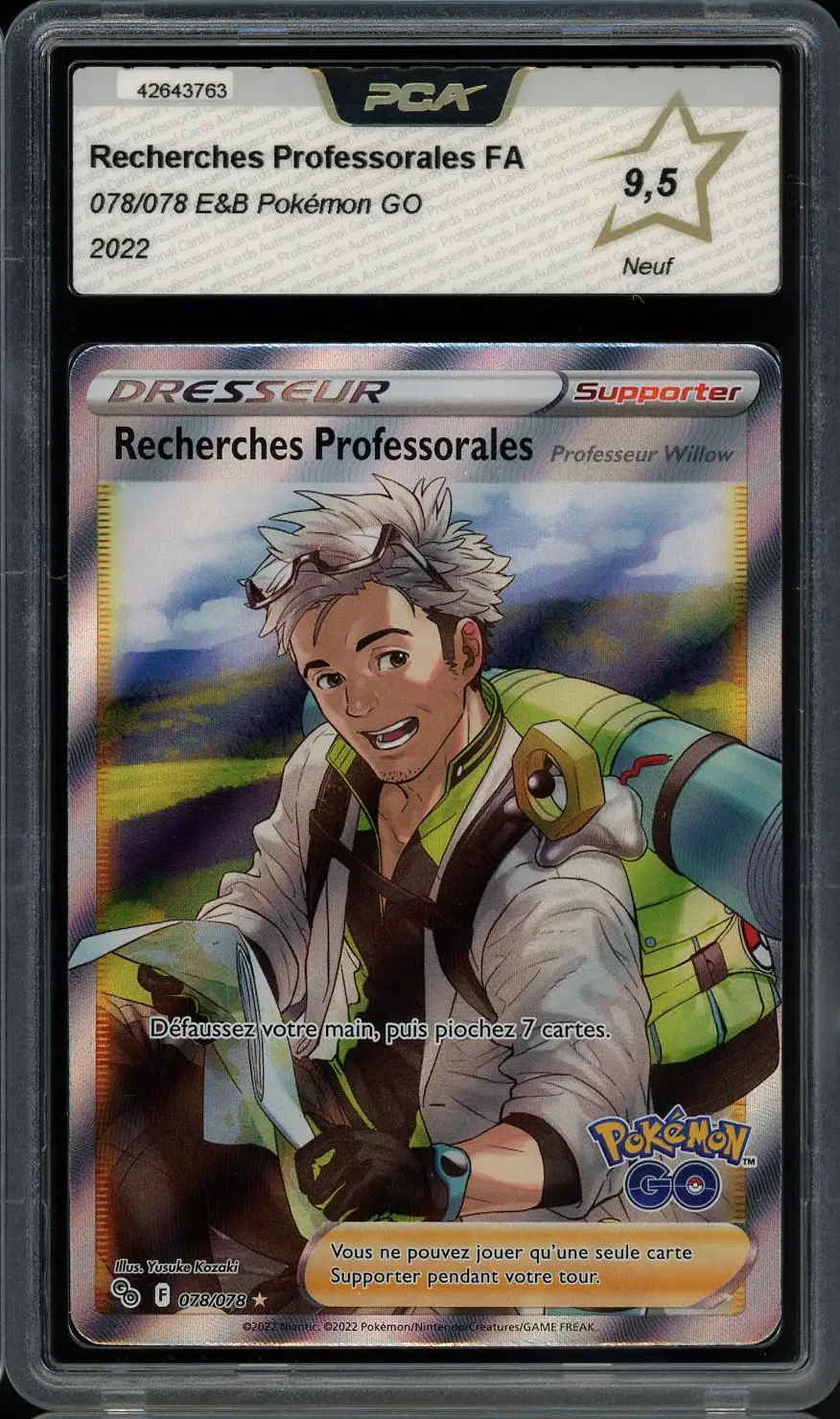 PCA 9.5 Recherches Professorales Professeur Willow
