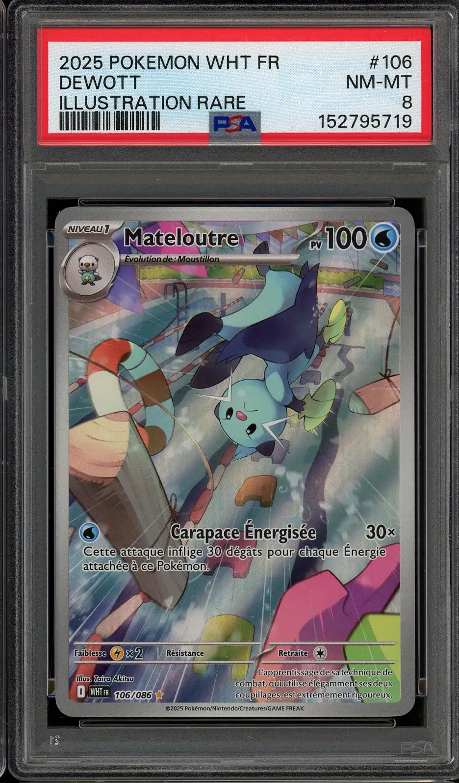PSA 8 Mateloutre