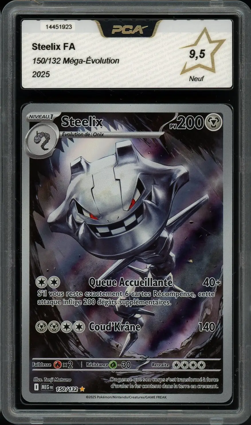 PCA 9.5 Steelix