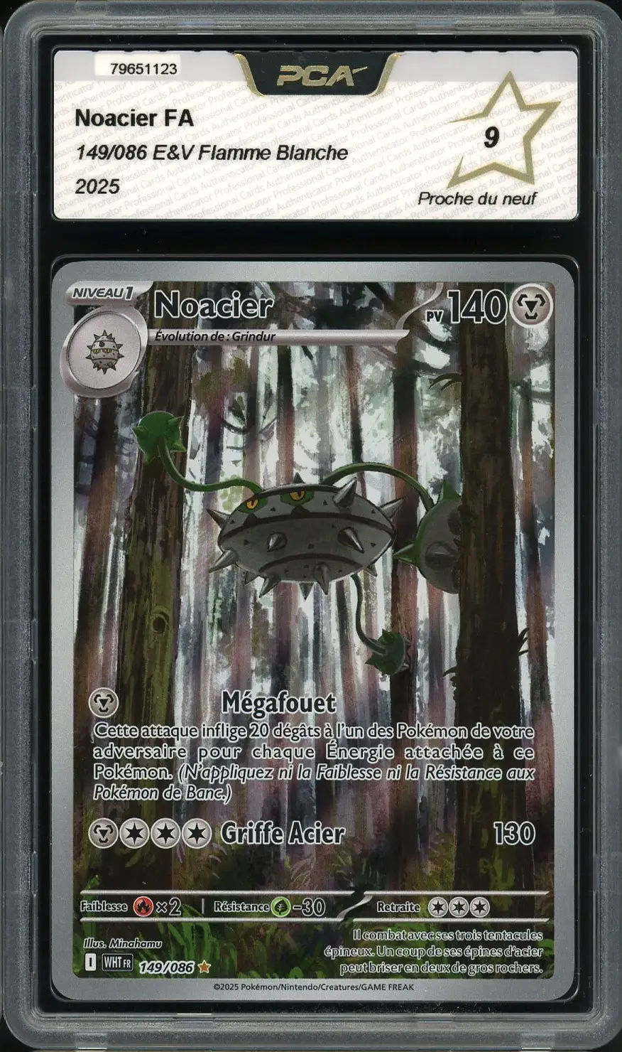 PCA 9 Noacier