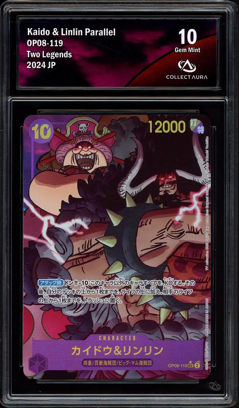 CA 10 Kaido & Linlin